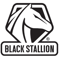 Black Stallion